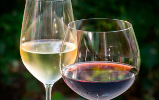 Maridaje del jamón ibérico con vinos DO Vinos de Madrid - La Casa Del Jamón