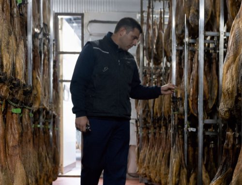 Nuevo protocolo de certificación del ibérico, qué cambia