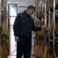 Nuevo protocolo de certificación del ibérico, qué cambia - La Casa del Jamón