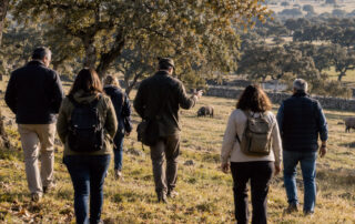 Tren del jamón, viaje a Los Pedroches - La Casa del Jamón
